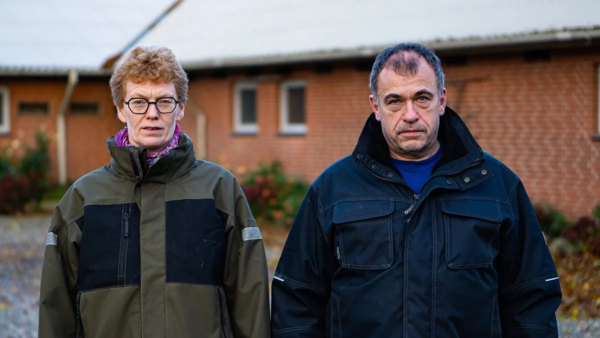 Landmandsparret Lars Peter og Kirsten Simonsen råber Klima-, Energi- og Forsyningsministeriet op i håbet om at løse mysteriet bag mistrivslen blandt deres svin. Foto: Daniel Barber.