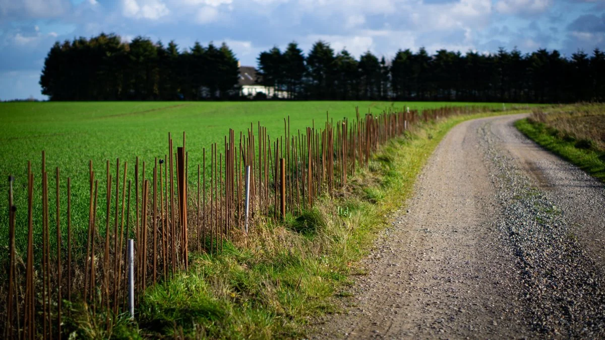 Landmandsparret har, i håb om at afværge strømstøjen, hamret jernstænger i jorden rundt om gården. Den løsning har vist sig at holde problemet i skak – men desværre kun kortvarigt. 
