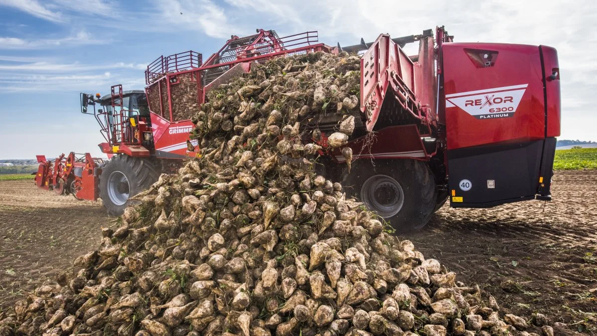 Grimmes Rexor 6300-roeoptager kan holde op mod 28 tons roer af gangen. Foto: Grimme