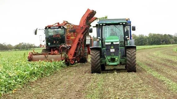 Toppene skal bjerges samtidig med roeoptagningen. Det kræver en optager med tank og en frontklipper med sideudkast, hvorpå der kan monteres en transportør, der kaster roetoppene op i en vogn, der kører ved siden af. Fotos: Kurt Hjort-Gregersen