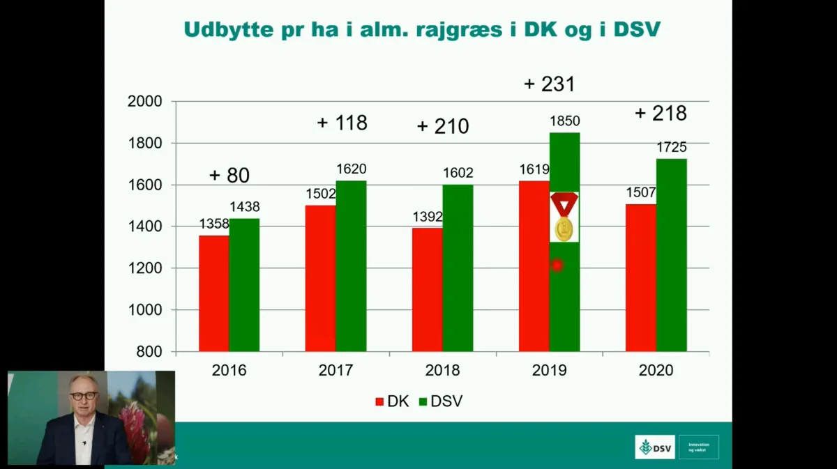 DSVs avlere kunne igen for høsten i 2020 viser pæne udbytter -  her i alm. rajgræs, oplyste avlschef Carsten Jørgensen.