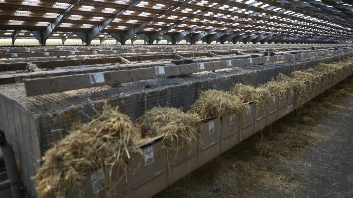 Der ventes i ny aftale udgifter på mellem 1,9 og 3,1 mia. kroner til nedrivning af anlæg med videre. Foto: Erik Hansen