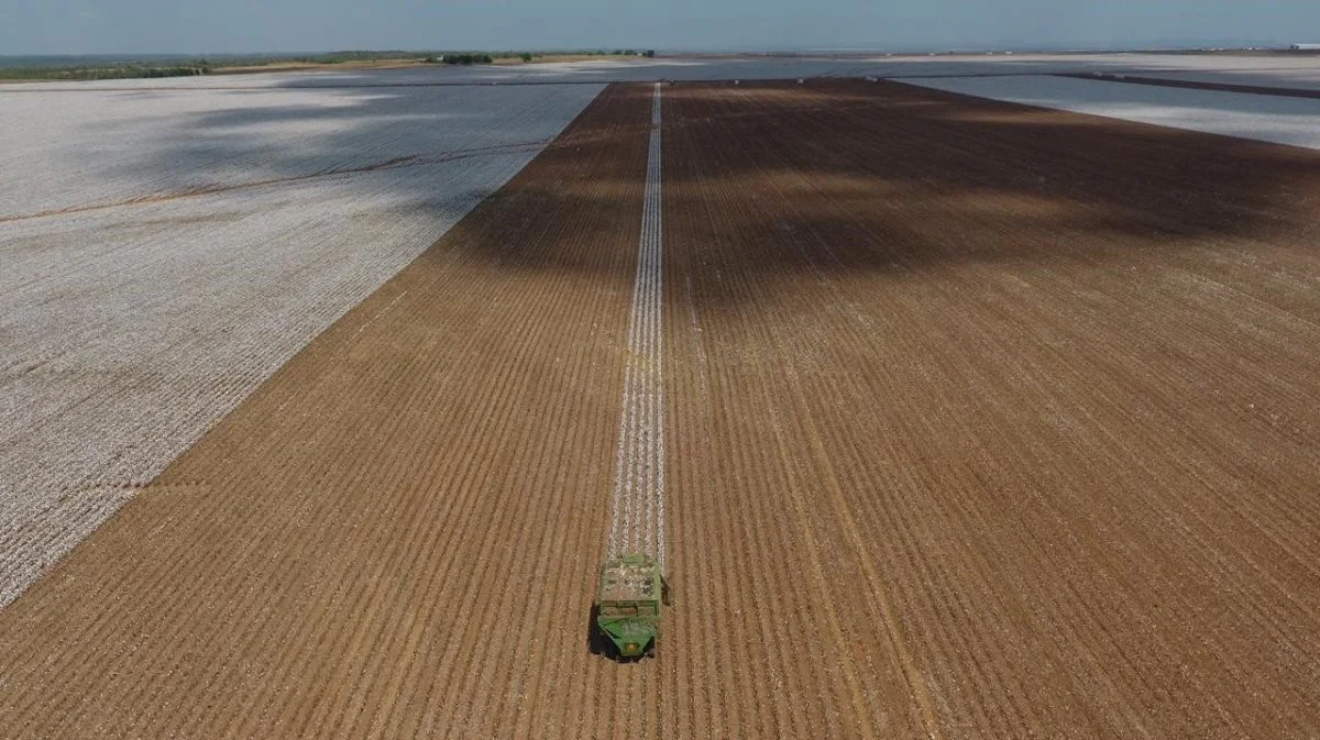 Fra høsten på Agrobrazil af bomuld i 2020 - de hvide områder er de endnu ikke høstede arealer.