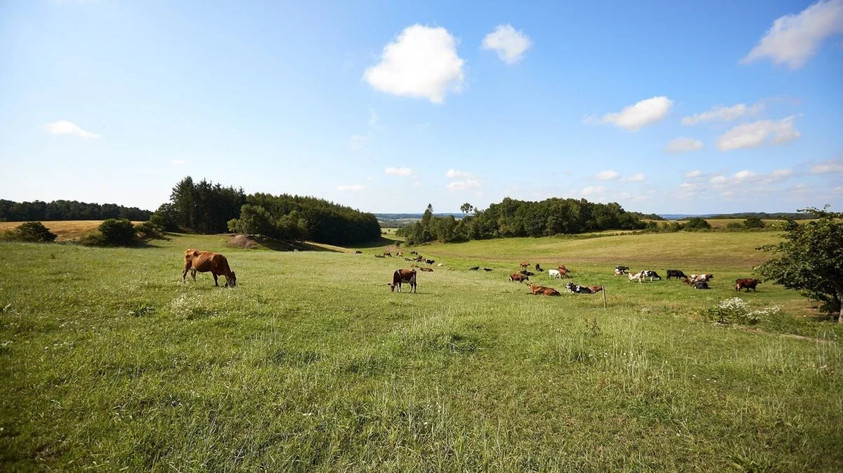 I Aarhus Kommune vil man gerne bakke op om Økologisk Landsforenings tilbud til landmændene. Derfor sender kommunen i den kommende tid et brev til alle landmænd med landbrug større end to hektar, hvor man blandt andet beskriver, hvad omlægningstjekket indeholder. 