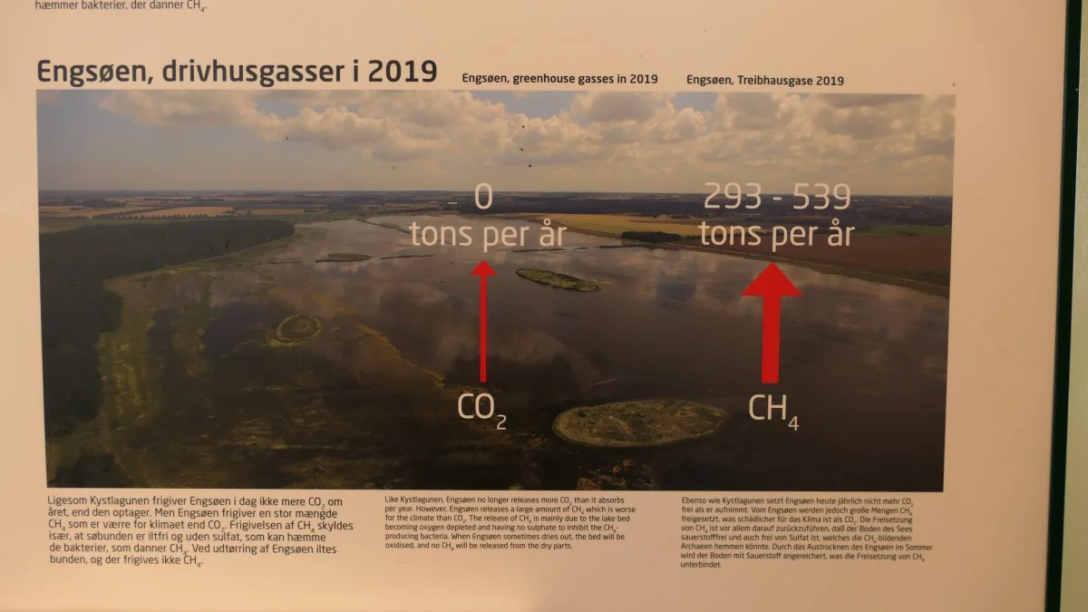 I Naturrummet ved Gyldensteen Strand er det informative plancher om såvel naturprojektets intentioner som resultater af SDU-forskernes arbejde. 