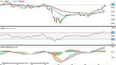 Brent-olie, første position i dollar pr. tønde

Prisen for Brent (råolie) er nu tæt på mit prismål ved 70 til 75 dollar pr. tønde.
