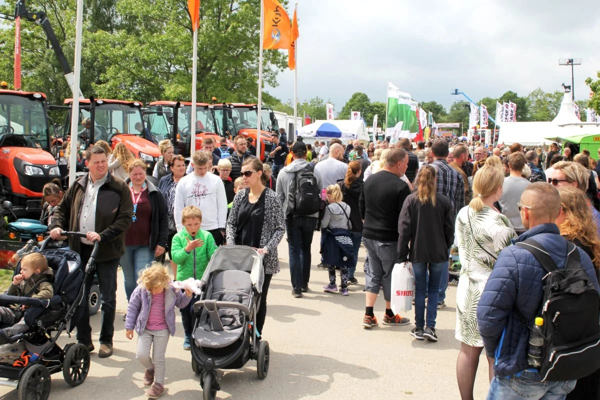 Der var rekordmange dyrskuebesøgende, da Roskilde Dyrskue i 2019 havde 50-års jubilæum. Efter et års »corona-pause« arbejdes der på at skabe en ny dyrskuefest i Roskilde. Foto: Jesper Hallgren