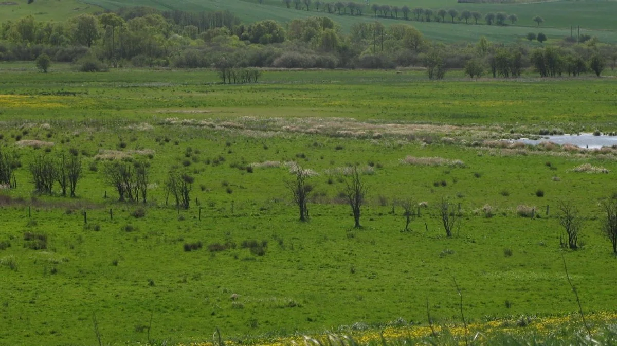 Foto: Djursland Landboforening.