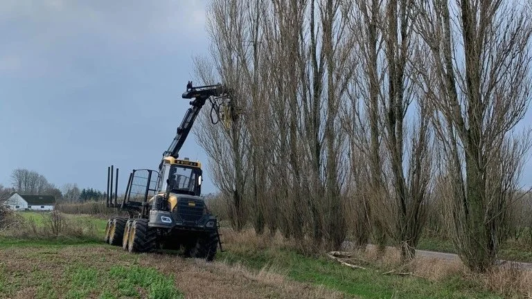 MT Skovservice bruger en del tid på hegns-og remisepleje.