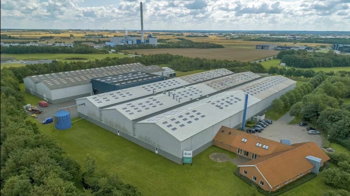DSV Frø Danmark har på få år næsten fordoblet omsætningen og tidoblet overskuddet, og nu gøres der klar til at udvide produktion og lager i Holstebro. Foto: DSV Frø Danmark