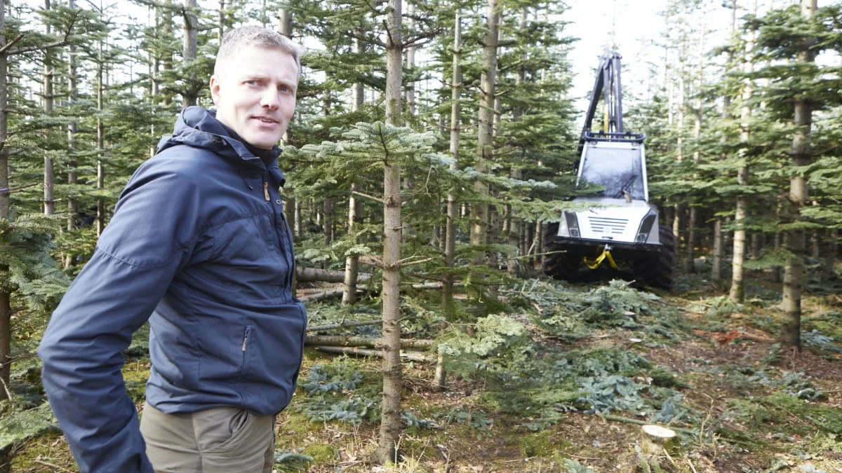 Skovfoged Rune Bukkehave forudser en fremtidig stigning i træpriserne, både ud fra klimaaspektet, men også ud fra den aktuelle meget usædvanlige markedssituation for træ. Foto: Erik Hansen

