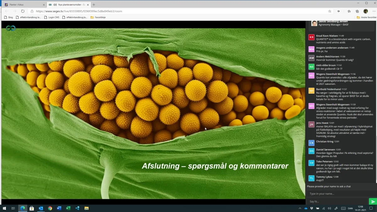 Mikroskopisk optagelse af gulrust, der er ved at sprede sig ud gennem læbecellerne i et blad. Nu har BASF netop fået godkendt Entargo som nyt middel mod svampe i hvede og byg. Foto: BASF