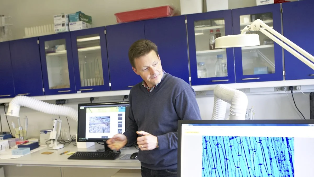 - I DLF mener vi, at teknologien er så værdifuld, at vi ikke kan vente på, at EU skifter holdning, siger Christian Sig Jensen, DLF, om brug af Crispr/cas9. Foto: Erik Hansen