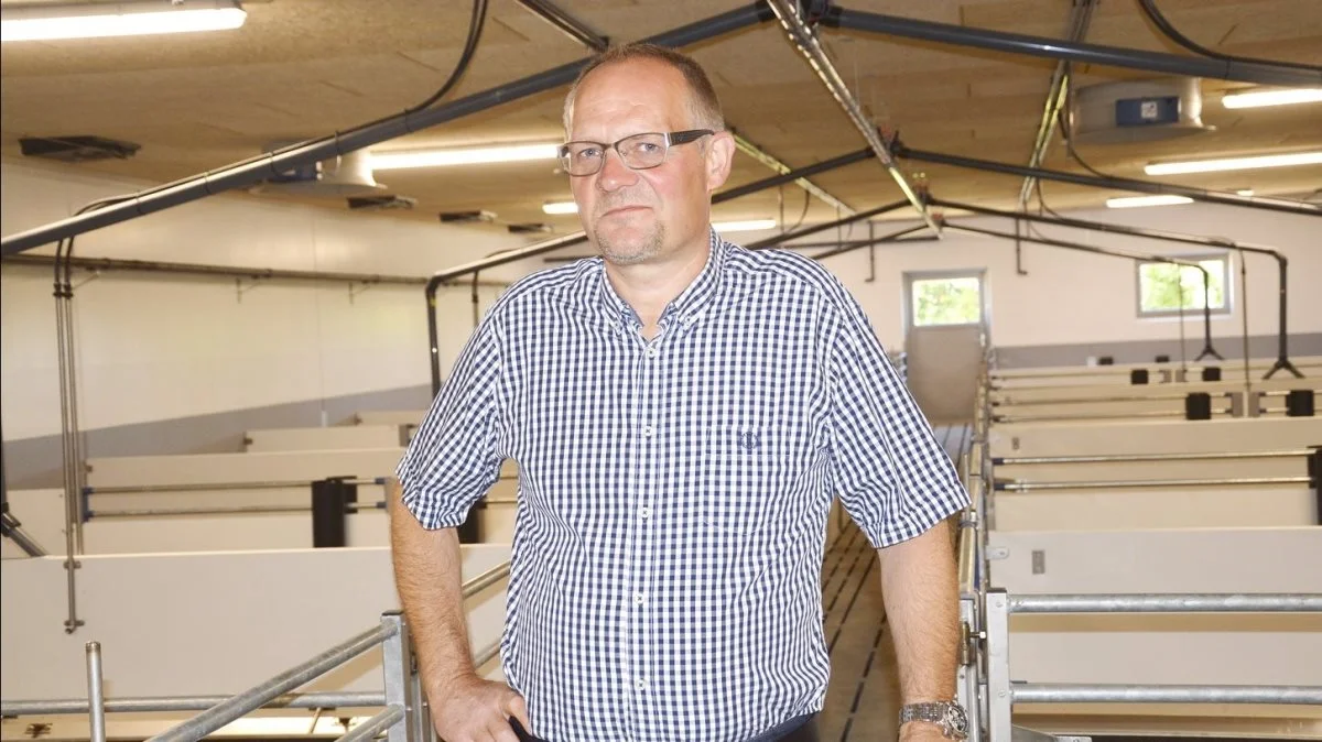 Boye Tambour, Søllested, leverer omkring 45.000 slagtesvin om året. Foto: Camilla Bønløkke