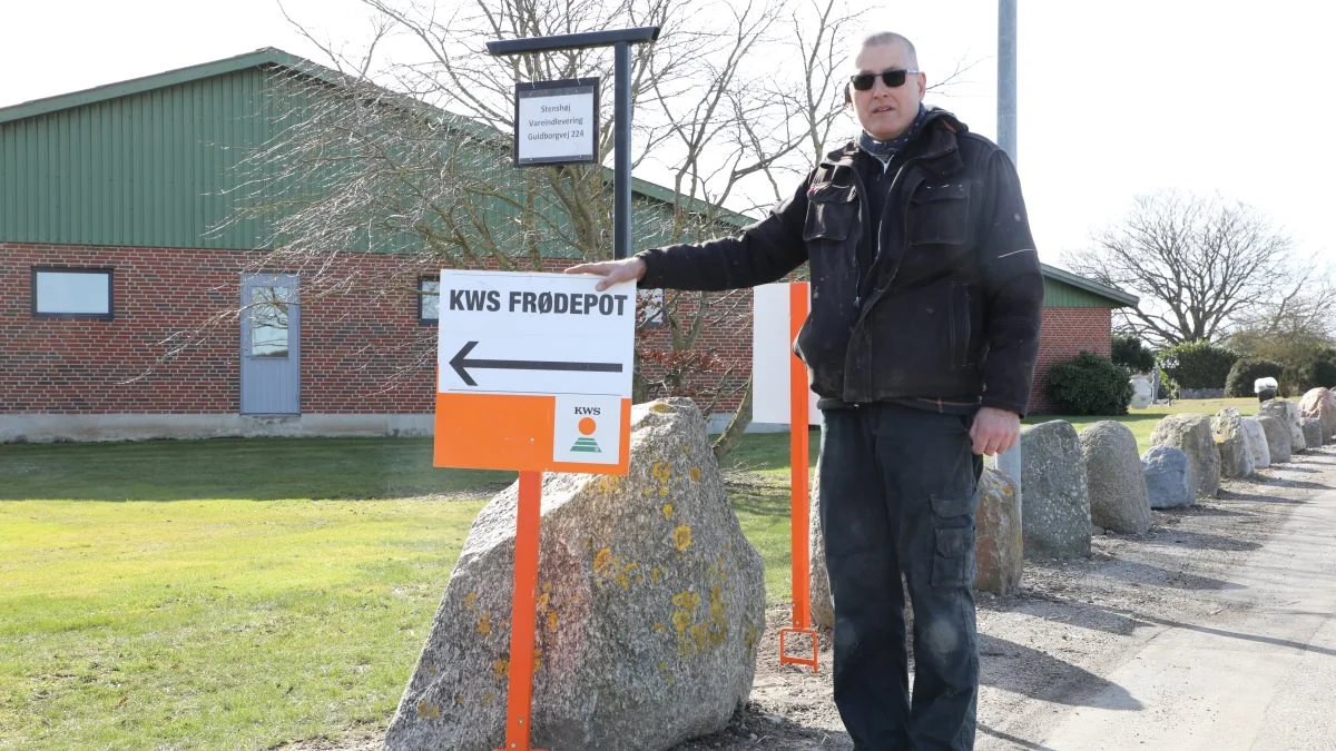 KWS Scandinavia tilbyder i år selvhentning af roefrø, fortæller Elo West Larsen. 