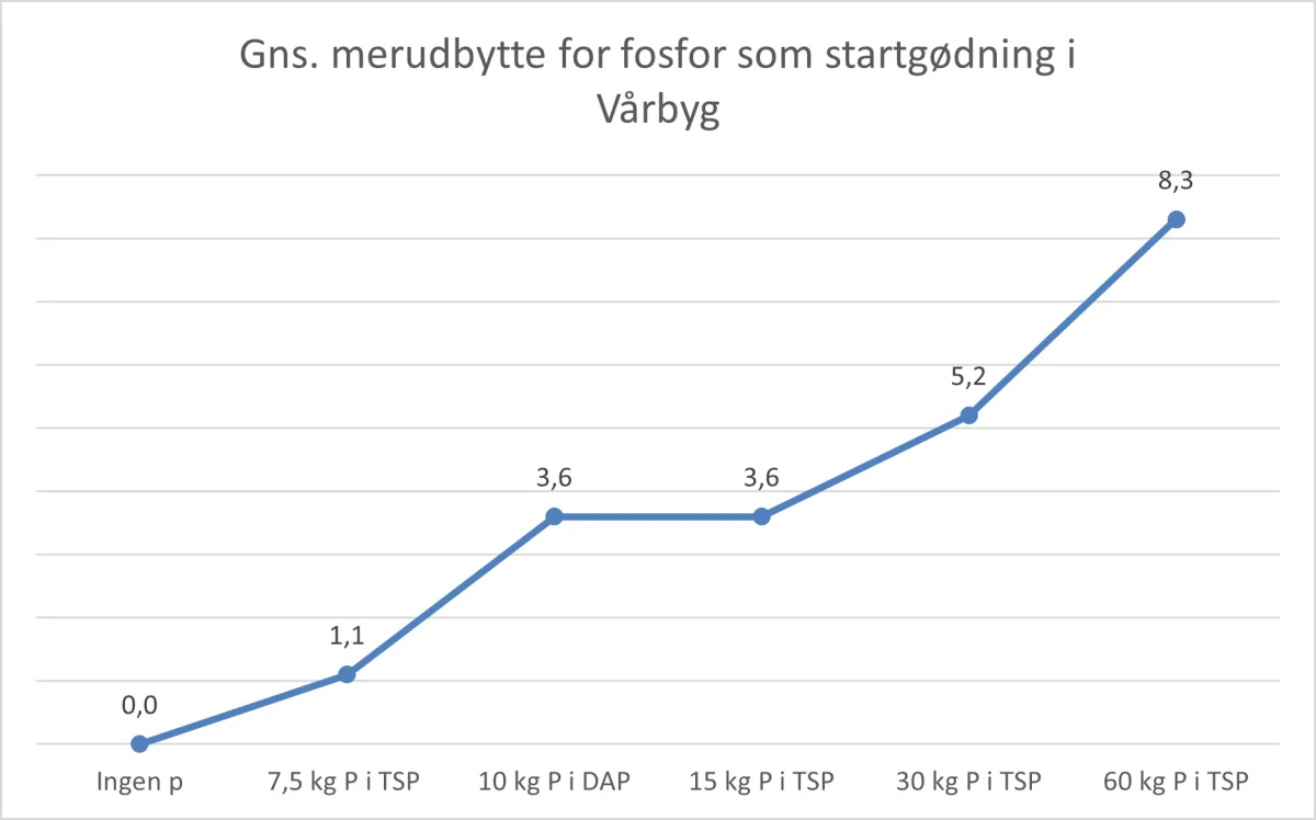 Figur 1. Resultater fra LandboNords forsøg med placeret fosfor som startgødning i vårbyg i 2020, i samarbejde med Seges og Teknologisk Institut. Resultaterne er gennemsnittet for syv Nordjyske lokationer og viser et merudbytte ved øget tildeling af fosfor.  