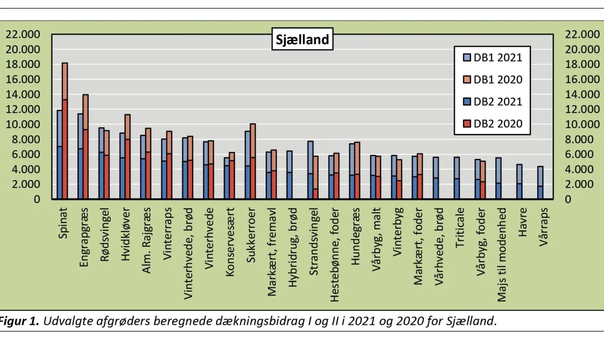 DB1 og DB2 for salgsafgrøder til sammenligning for 2020 og 2021. Kilde: VKST