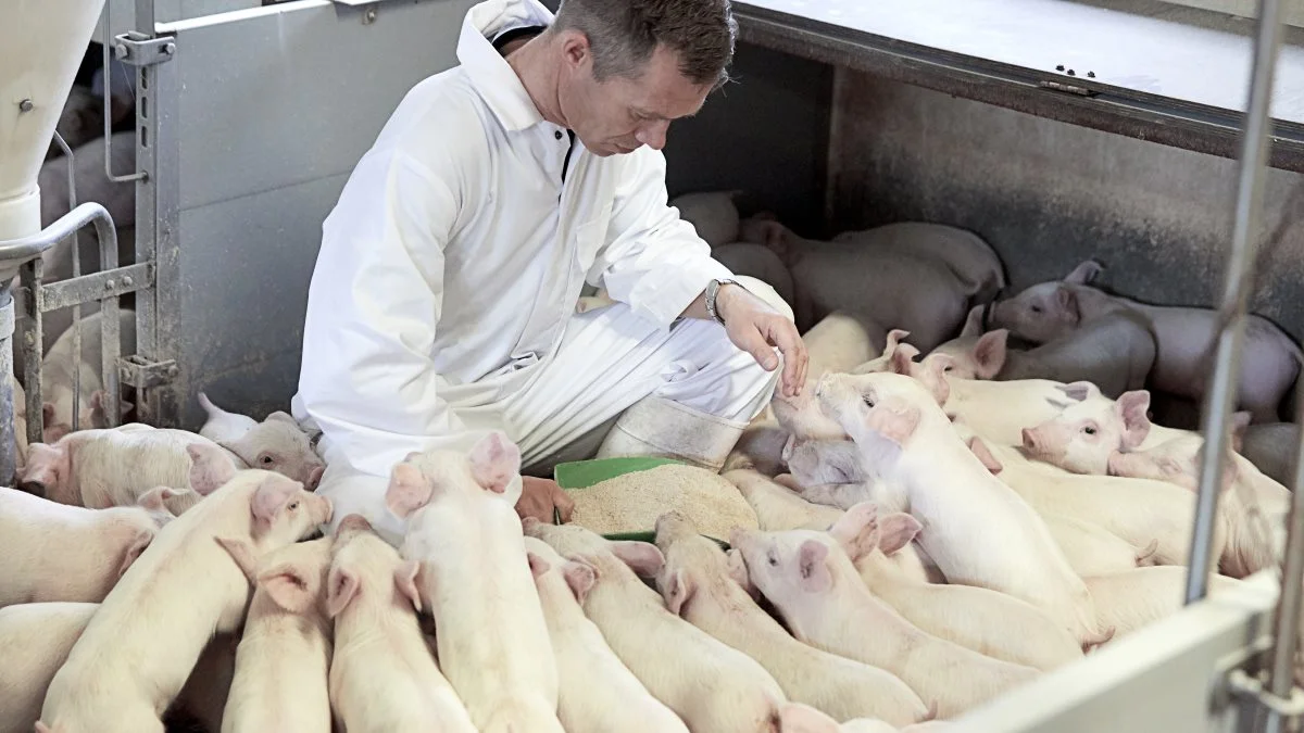 Hos DanVit har vi en fordel i at være uafhængige af enkeltprodukter, og dermed objektivt kan se på hvad der virker, og hvad der ikke virker, forklarer Karsten Nordestgaard Andersen fra DanVit. Firmaet rådgiver helst på staldgangene, understreger han. 