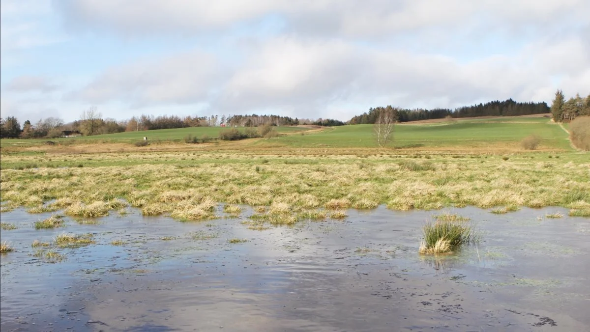 Hvis du fremover omdanner lavbundsjorde til naturprojekter, får du hele betalingen fra staten på én gang i stedet for 20 små beløb over 20 år.  Arkivfoto
