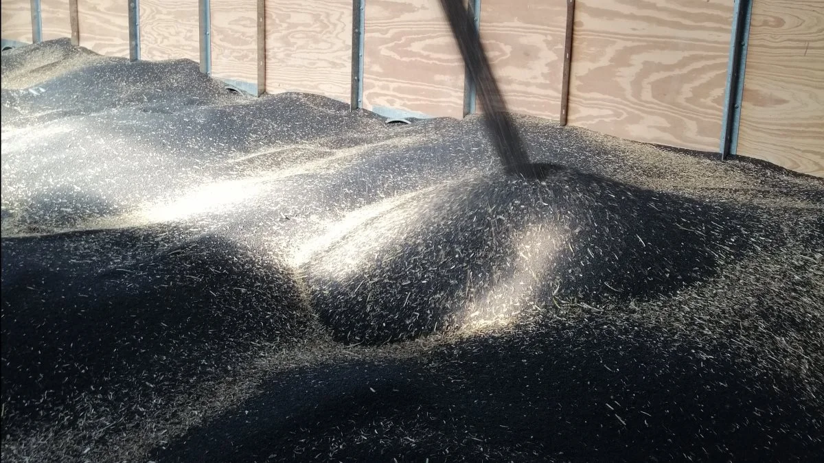  - Jeg vil ikke gå i salgspanik, eftersom de tekniske indikatorer stadig udviser stigende styrke til rapsprisen i opadgående retning, skriver markedsanalytikeren Peter Arendt, der driver MinAgro.