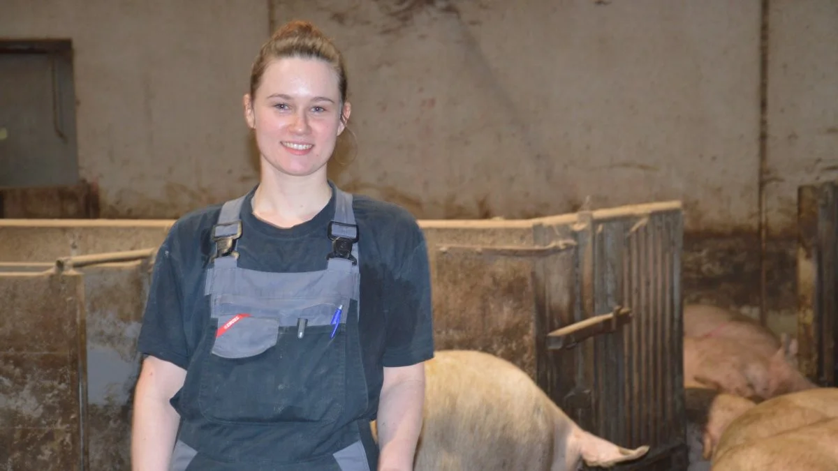 - Søerne virker generelt mere trivelige, når de får toksinbinder. Da det var værst, kunne vi miste tre søer om ugen, fortæller Therese Bach, der har været ansat på Enghavegård i fem år.

