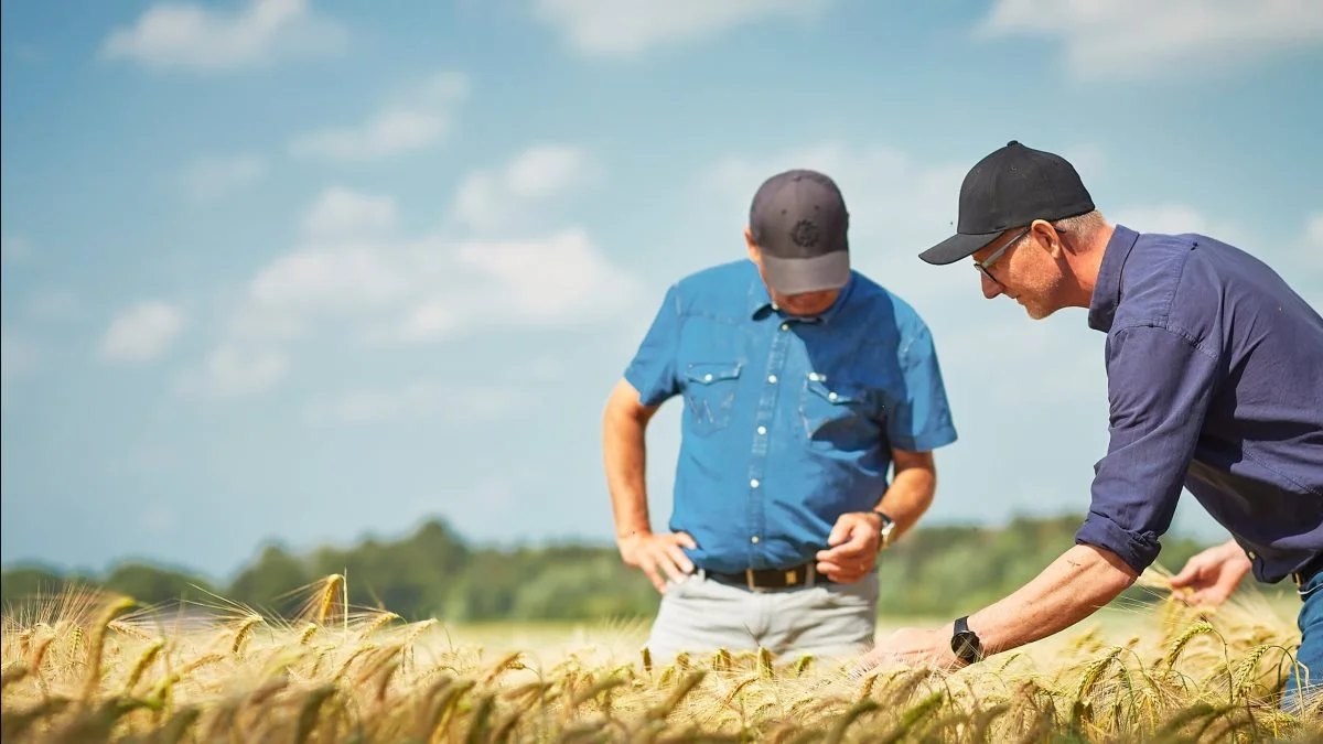 Farmbrella vil være den førende digitale platform til vidensdeling, netværk og rekruttering i agrosektoren.