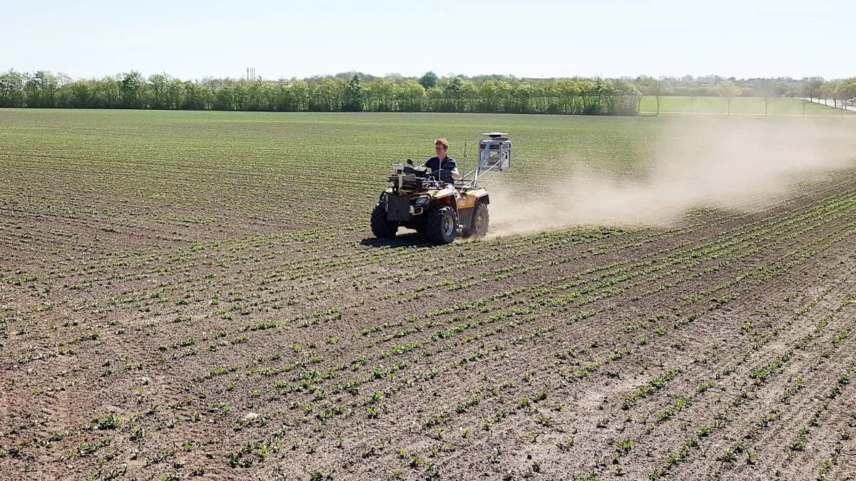 Markerne på Foulumgaard affotograferes lynhurtigt med en ATV påmonteret et RoboWeedCam-kamera. For hver 10. meter tages et billede. Ukrudtet på billederne er kunstig intelligens ved at lære at kende i detaljen. Og derudfra kan man udarbejde markkort, som kan bruges til at gøre fremtidens ukrudtsbekæmpelse fuldstændig punktligt. Foto: Jacob Lund-Larsen