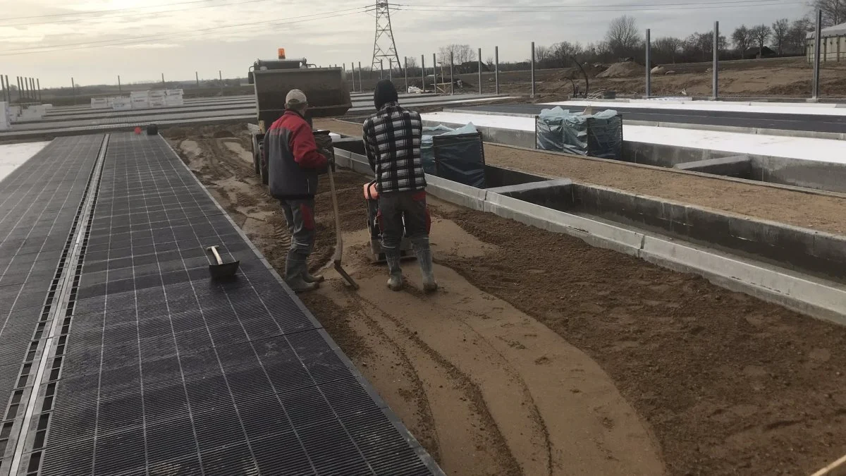 På grund af det frostvejr, der ramte Danmark i januar og februar måned, lå byggeriet på Rolf Clausens bedrift stille i tre uger. Derfor fokuserer bygherren Gråkjær nu på farestalden.