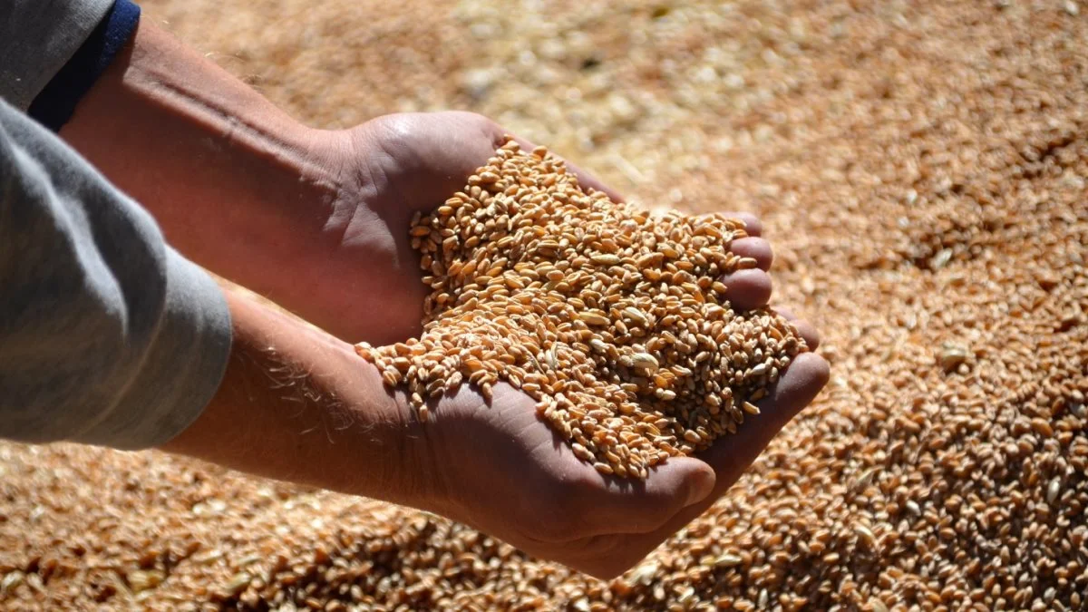 Foto: Danish Agro
