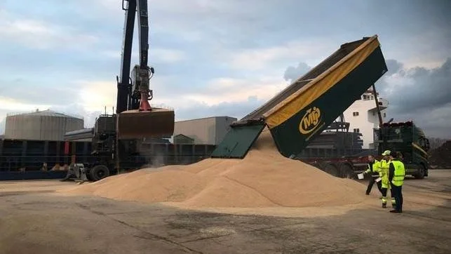 Overgaard afsætter foderkorn til en stor del af verdensmarkedet. Her lastes der korn i Randers Havn. Pressefoto