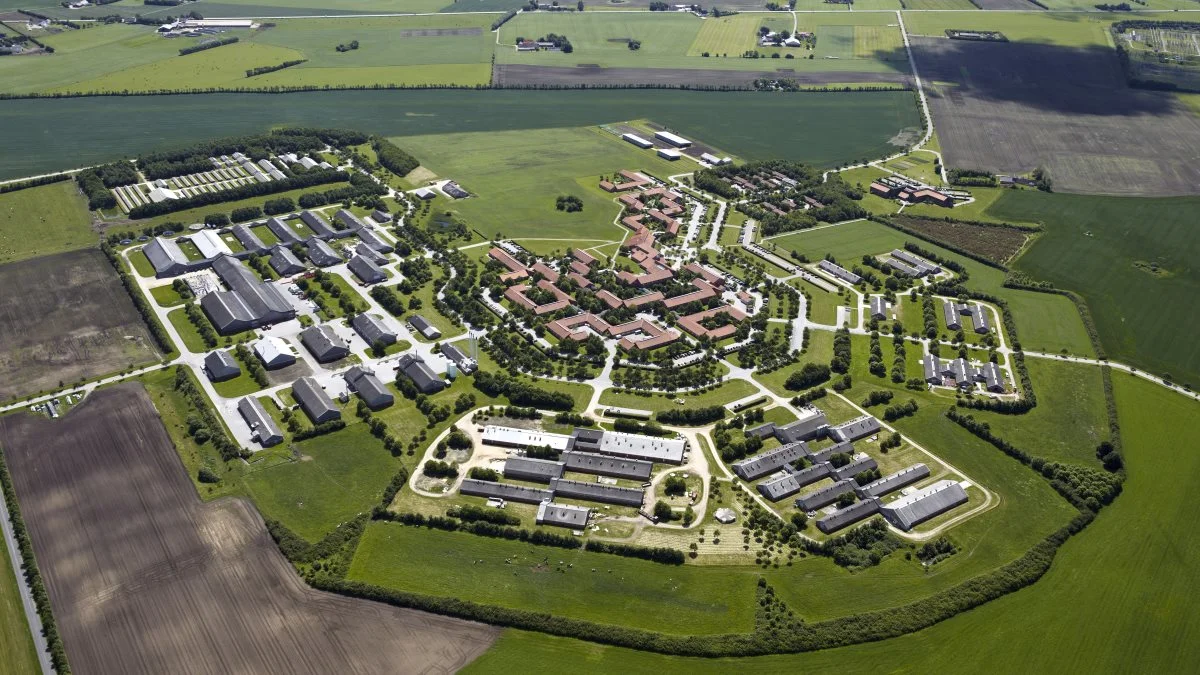 Basisbevillingerne til forskning på Aarhus Universitet falder årligt med to procent. Det er uhensigtsmæssigt, mener ledelsen på universitet. Foto: Jørgen Weber