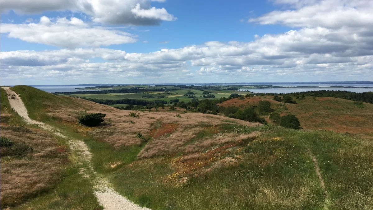 Foto: Djursland Landboforening.