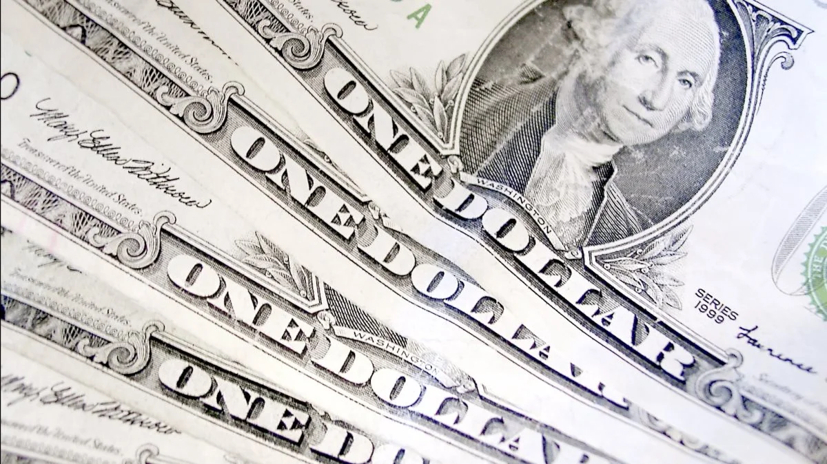 Den styrkede dollar er med til at give lidt støtte til europæiske aktier og europæisk landbrug set overfor amerikanske aktier og amerikansk landbrug, skriver Peter Arendt, der er markedsanalytiker med firmaet MinAgro.dk. Foto: Colourbox