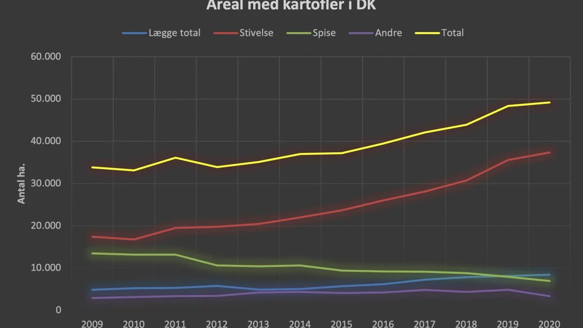 Det samlede areal med kartofler er steget fra 33.864 hektar i 2009 til 49.203 hektar i 2020. Bare fra 2019 til 2020 er stivelsesarealet steget med 5 procent. Den større produktion har sammen med Corona-situationen indvirkning på prisen. (Kilde Agri Nord)