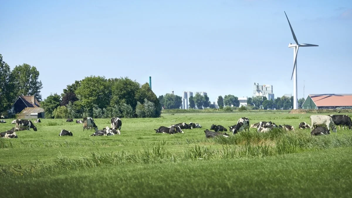 Foto: FrieslandCampina