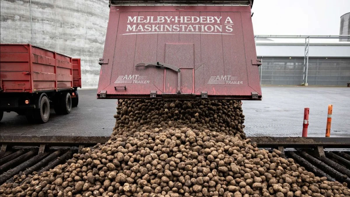 Foto: Food Nation Denmark