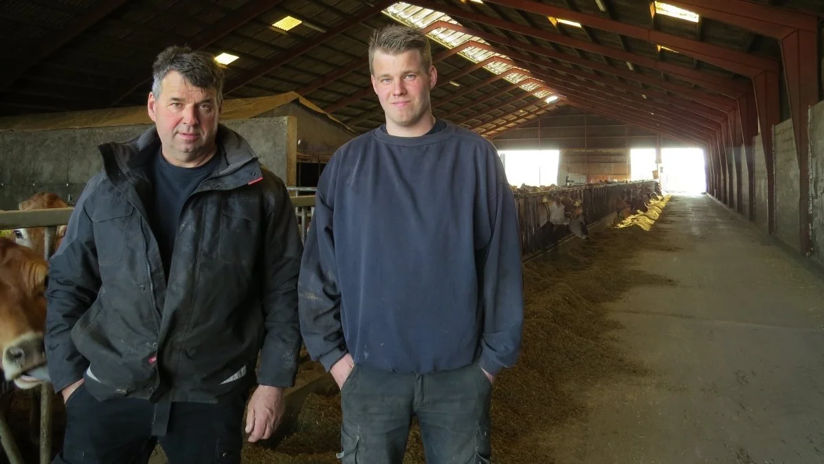 Lars Stenbek (til venstre) og sønnen Rasmus Stenbek bruger RumiPro Urea fra Biochem med stor succes. For dem betyder produktet, at de kan fodre med en højere andel grovfoder og samtidig spare på indkøbt korn og protein. Arkivfoto