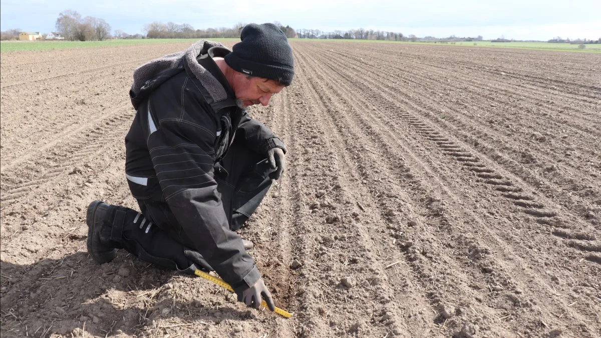 Lars Albrecht tjekker såarbejdet efter Agrointelli-robotten. Fotos: Jørgen P. Jensen