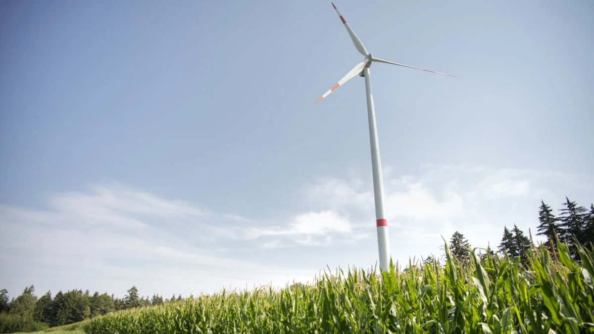 En CO2-afgift på landbruget kræver viden om, hvad den enkelte bedrift udleder, hvis den skal virke i praksis, mener eksperter.