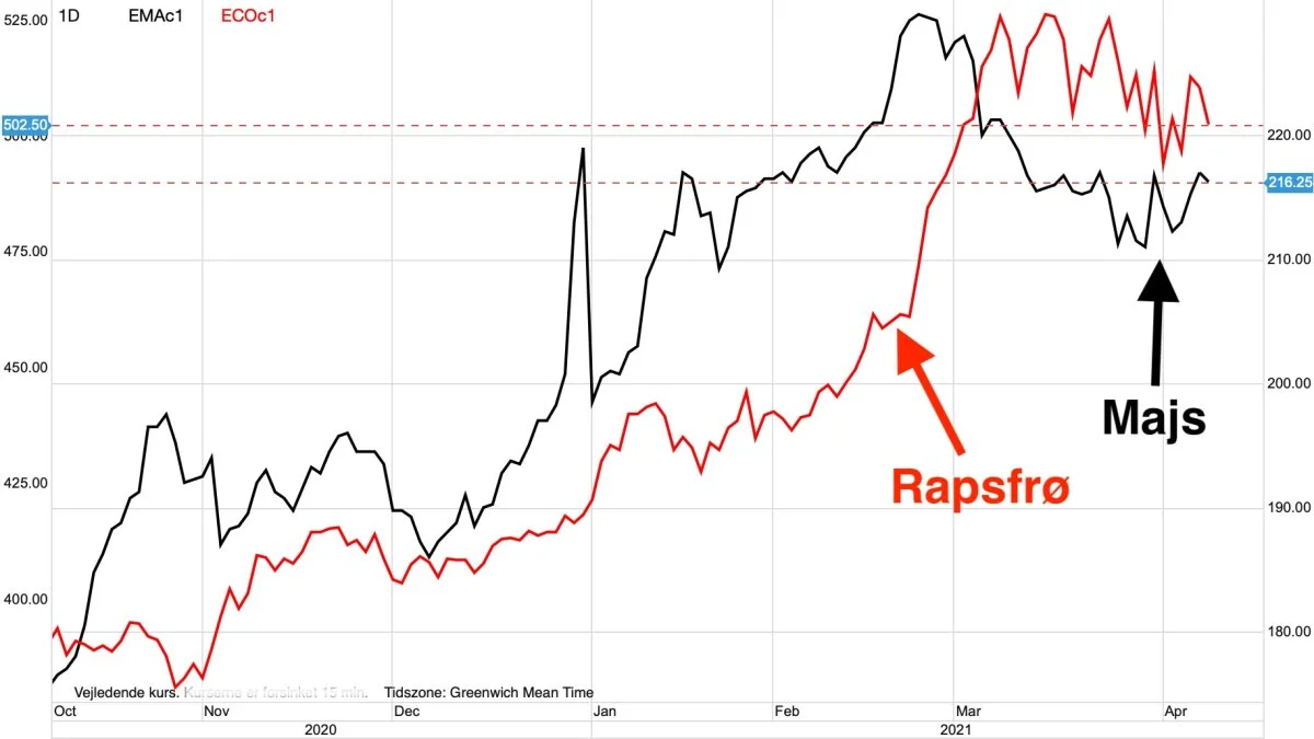 Ugegraf: MATIF Rapsfrø vs. Majs i euro pr. ton

Prisen for både rapsfrø og majs på MATIF udviser usikkerhed om retning. Bliver det til et brud i nedadgående retning, bliver det formentligt til et begyndende høstpres. 

