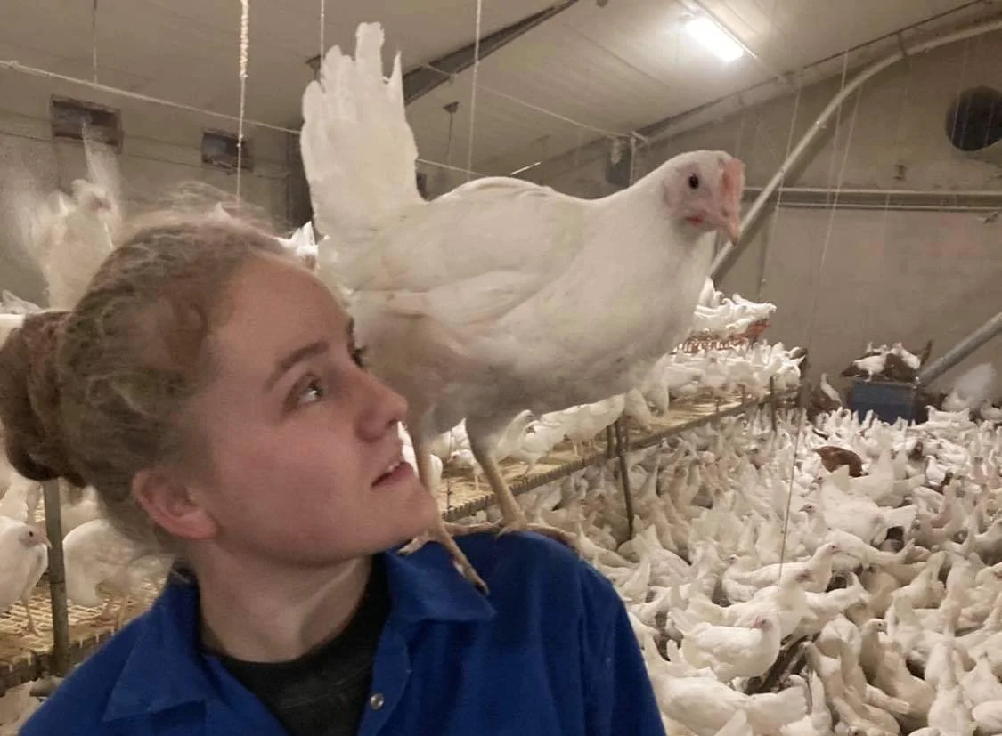 Stina Fruerskov bliver færdig som landmænd til sommer og er efterfølgende fastansat som medhjælper hos ægproducent Henrik Pihl Winterø, Aalundgaard ved Aarup, hvor hun har været ansat i praktikforløb gennem de seneste tre år.