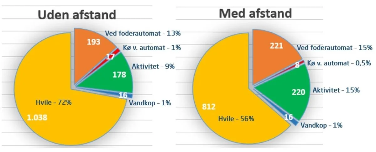 Figuren viser, hvordan grisenes døgn fordeler sig imellem hvile, ædeadfærd, kø-tid, aktivitet og tid ved drikkekop i hhv. en sti hvor foderautomaterne er placeret ved siden af hinanden, og en sti hvor der er etableret afstand imellem automaterne.