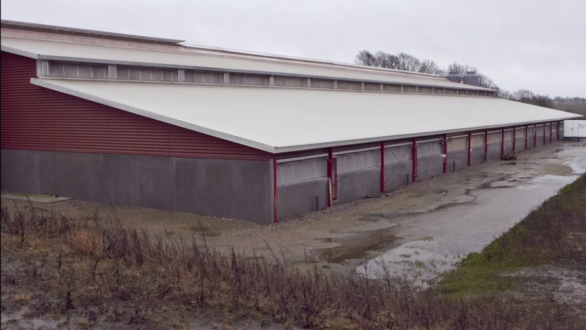 Mange af de svineproducenter, der har fået tilsagn om støtte fra tilskudsordningerne i de senere år, er i gang med projekterne, lyder det. Arkivfoto
