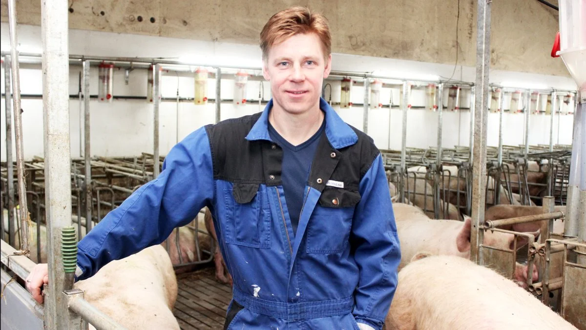 Flere af de især større producenter, der i forvejen feder nogle af deres grise, vil fede alle deres grise. Simpelt hen for at dække sig af, vurderer Kim Heiselberg, formand for Danske Svineproducenter, om svineproducenternes fornyede lyst til at bygge. 