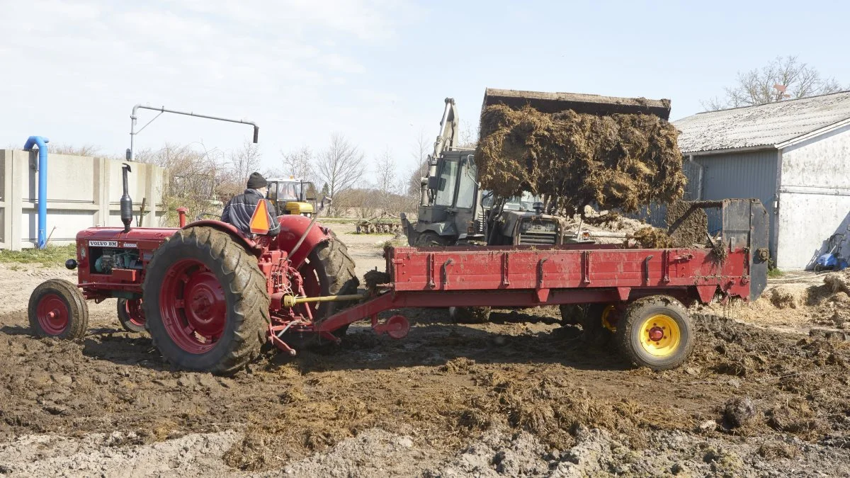 Medlemmer af Motor og Veterantraktor Klubben Fyn kørte møg ud to lørdage i april i det flotteste forårsvejr. Ved arrangementet hos Jesper Damgård Jensen i Rudme får Aksel Østerlund med sin Volvo BM 600 Boxer og Tim 3,5 tons combivogn et læs med to skovlfulde fra Kurt Sindahls Hydrema knækstyrede rendegraver. Foto: Erik Hansen