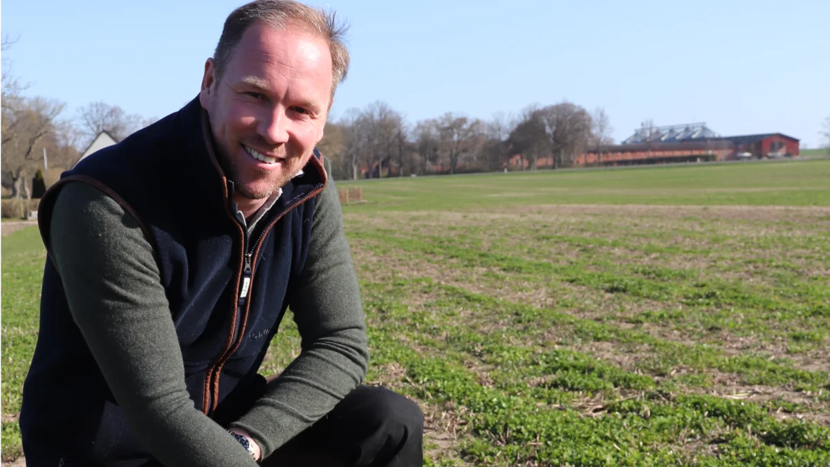 Godsejer Peter Bech, Valdbygaard ved Slagelse, peger her i en ellers flot hvidkløvermark på en kraftig kamille-plante, der uden problem har overlevet vinterens Reglonesprøjtning. Fotos: Jørgen P. Jensen