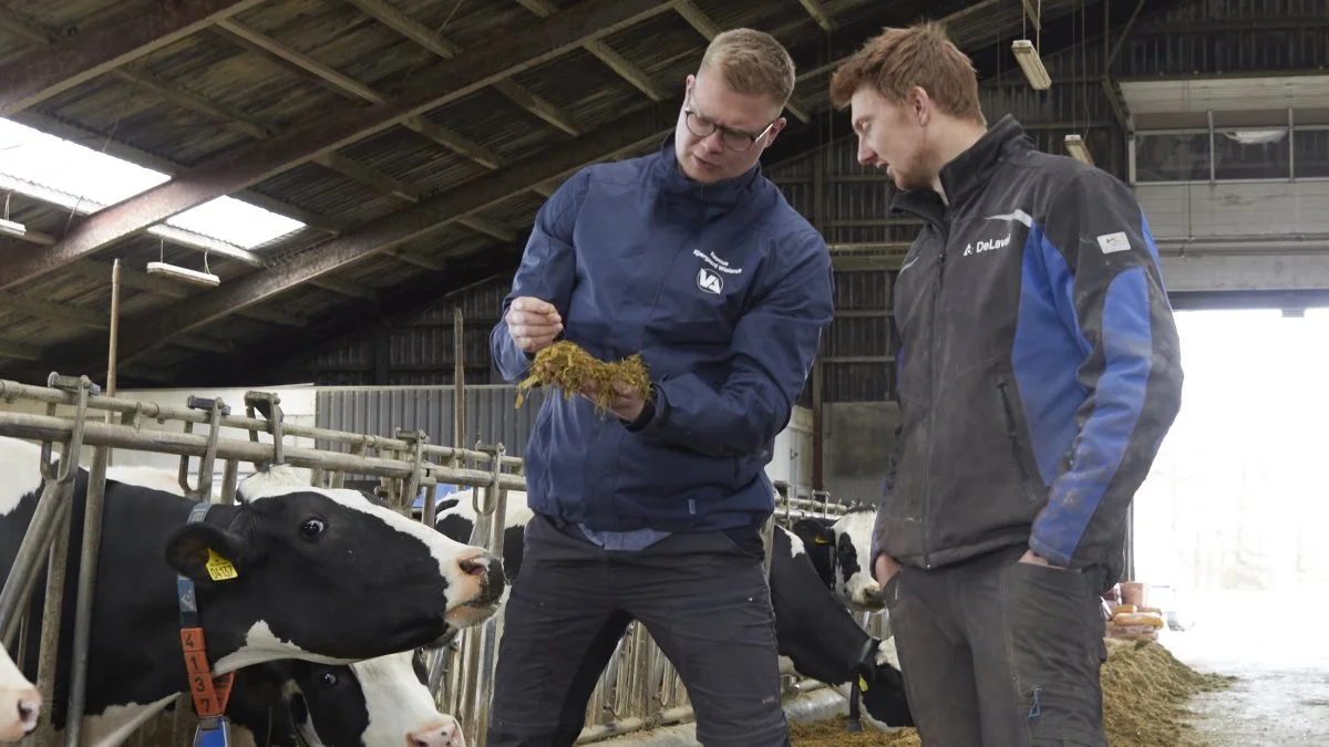 To procent kage i robotblandingen var medvirkende til, at køerne ved Kristian Hindhede Ventzel, Brande, gik fra 2,2 til 3,0 besøg i malkerobotterne i døgnet. Her ses mælkeproducenten sammen med Rasmus Kjærgaard Wielandt, som er produktkonsulent ved Vestjyllands Andel, der har leveret robotblandingen.  Fotos: Tenna Bang 