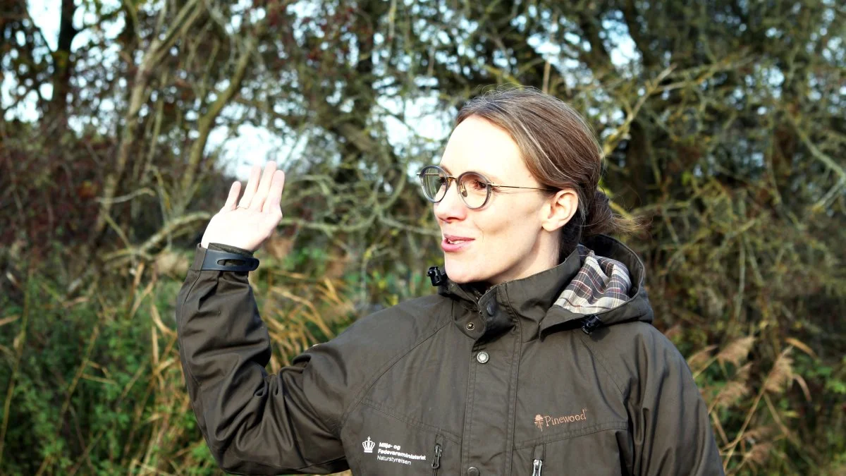 Miljøminister Lea Wermelin (S) glæder sig over at kunne byde danskerne indenfor i nye nationalparker, blandt andet ved Stråsø Plantage og ved Tranum. Foto: Lasse Ege Pedersen