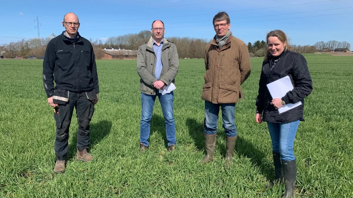 For at have et godt sammenligningsgrundlag, er der på Vidstruplund anlagt storskala-demoer med fem sorter af vinterbyg på to såtidspunkter med forskellige plantetal. Fra venstre Bjarke Wilhelmsen, Peter Munk Lauritsen, faglig chef hos Hedegaard Thomas Ory og agronom Vibeke Fabricius, Nordic Seed.