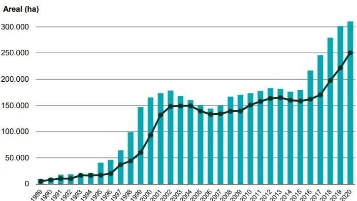 Overskrift: Udvikling i Danmark i økologiske bedrifters indberettede produktionsareal med angivelse af fuldt omlagt økologisk areal for perioden 1989-2020.

Undertekst: Siden 2007 er arealet mere end fordoblet fra 150.207 hektar til 310.210 hektar i 2020, hvilket svarer til en forøgelse på 160.003 hektar.  Størstedelen af arealet fandtes i 2020 i regionerne Syddanmark og Midtjylland med tilsammen 197.690 ha.

Kilde: Landbrugsstyrelsen / Statistik over økologiske jordbrugsbedrifter 2020
